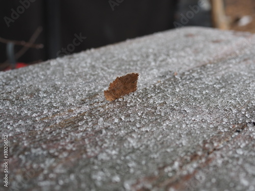 Close up of hail-head, stud in wooden board with wood grain texture