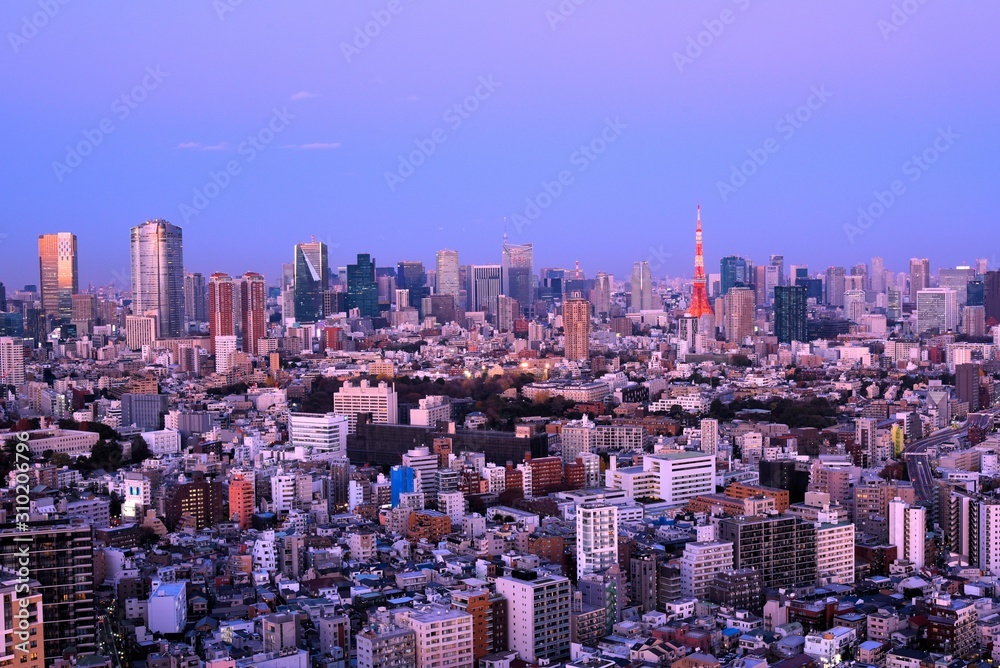 Fototapeta premium 東京の風景