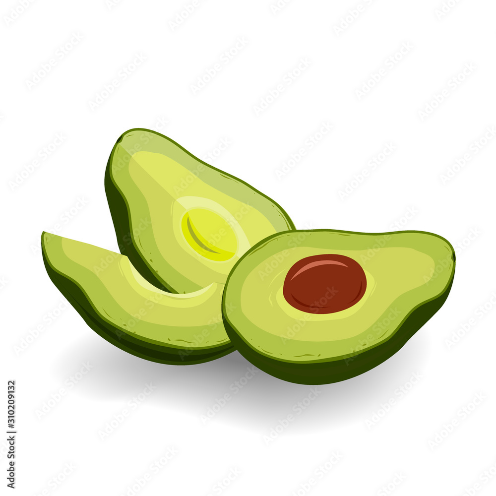 Cut in half avocado on white background. Vegetarian oils source, design elements. Vector illustration Cut in half avocado on white background. Vegetarian oils source, design elements. Vector illustration