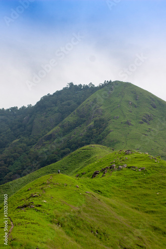 Kurangani HIlls. Tamil Nadu, India photo