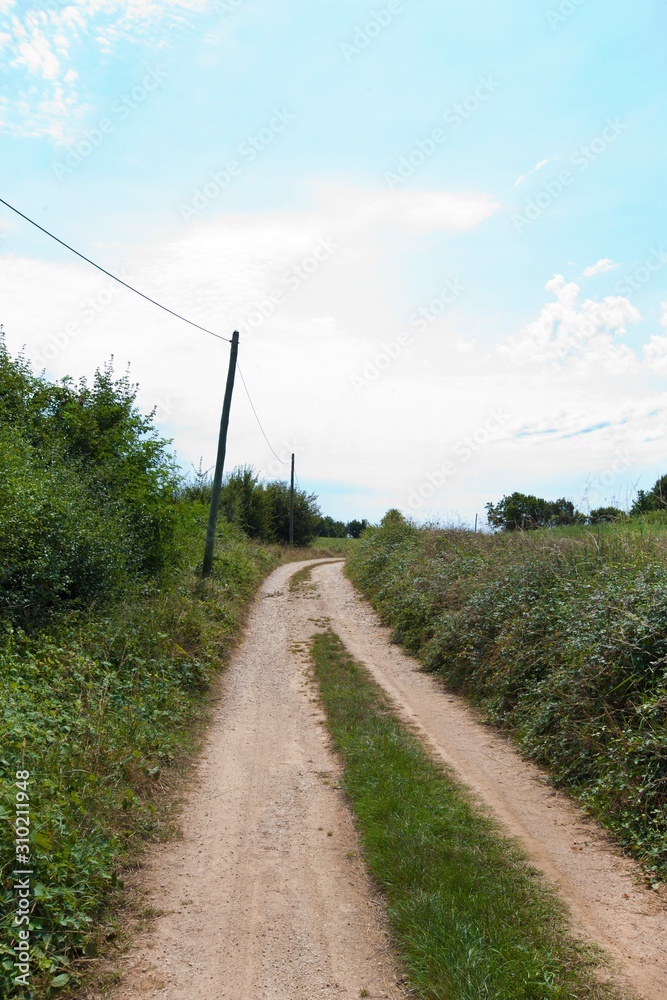 Unpaved road amidst plants Unpaved road amidst plants
