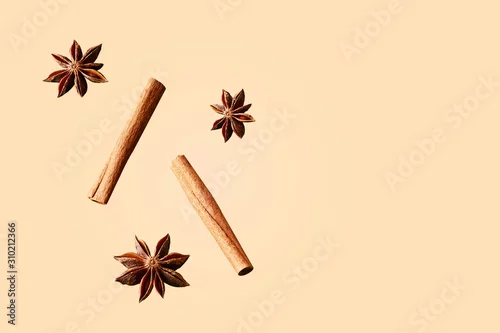 Obraz kompozycja anyż i cynamon