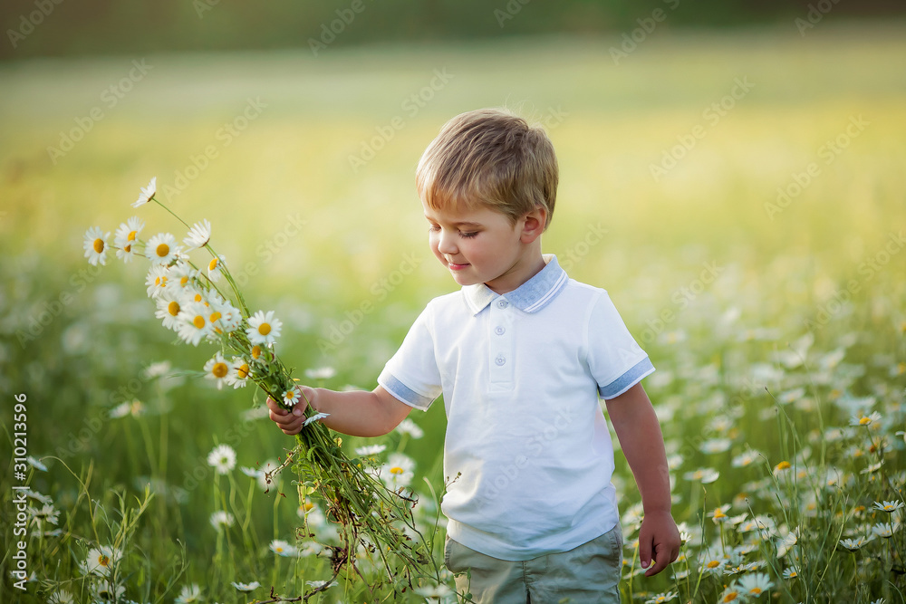Child boy holding a bouquet of daisies. Child boy holding a bouquet of daisies.
