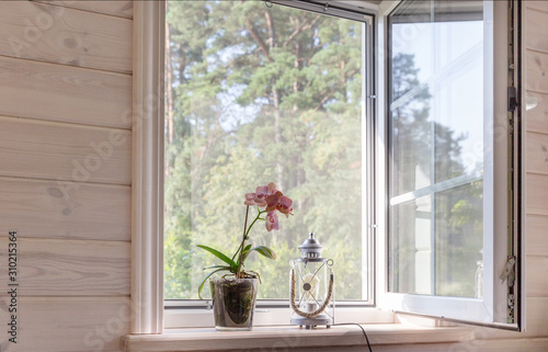 Fototapeta Naklejka Na Ścianę i Meble -  White window with mosquito net in a rustic wooden house overlooking the garden. Phalaenopsis orchid on the windowsill