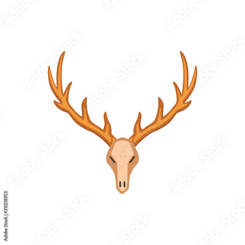 Deer vector horns, deer skull horny hunting trophy. deers animal horn.