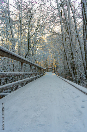 Winter wooden path (bridge) in swedish woods. Snowy day in scandinavian forest. Bright winter day. Nature wallpaper. Photo with trees and road. © Viktoras