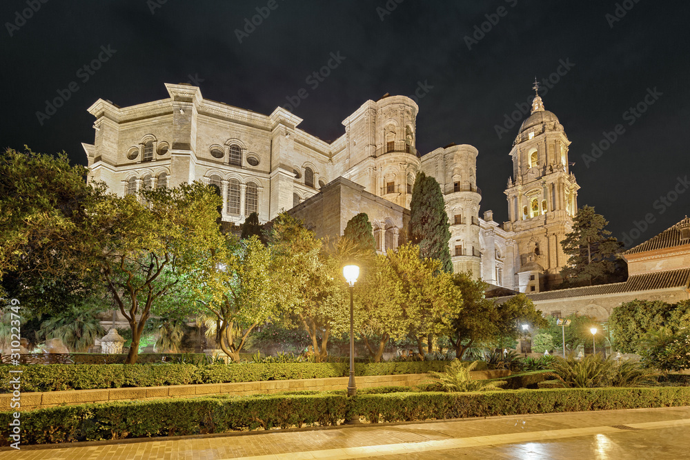 Malaga Cathedral at night