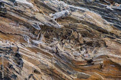 abstract texture of frozen lumber