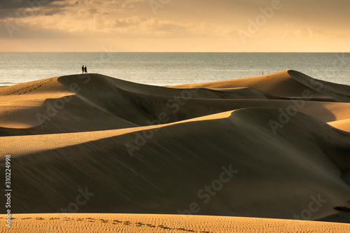 Maspalomas dunes in sunrise light. Gran Canaria sandy coast. photo