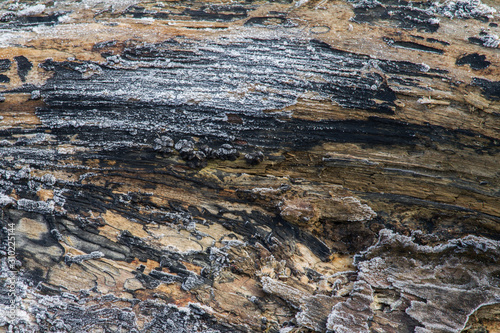 abstract texture of frozen lumber