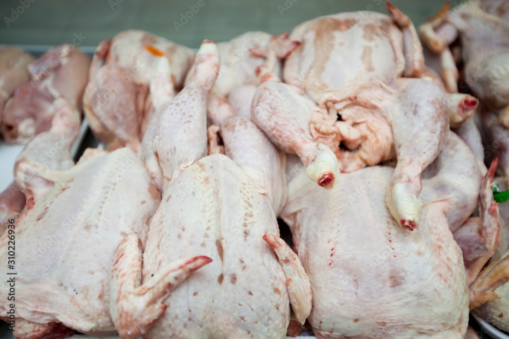Raw chickens in supermarket Raw chickens in supermarket