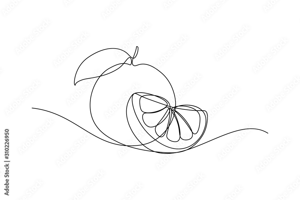 Orange fruit whole and a slice in continuous line art drawing style