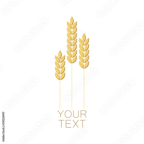 Wheat ears for agriculture or bakery logo design. Organic grain icon. Vector illustration