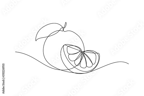 Orange fruit whole and a slice in continuous line art drawing style. Black line sketch on white background. Vector illustration