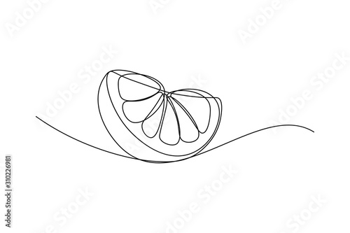 Orange fruit slice in continuous line art drawing style. Black line sketch on white background. Vector illustration