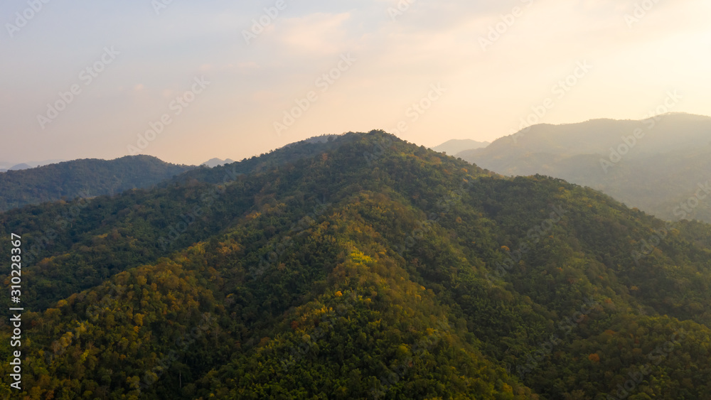 tropical rain forest in autumn colours season aerial view tropical rain forest in autumn colours season aerial view