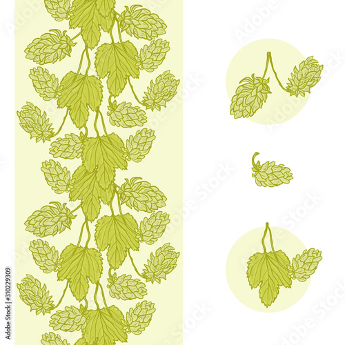 Beer Hops and Vertical Seamless Floral Border Vector Set. Common Hop or Humulus Lupulus Branch. Leaves and Cones