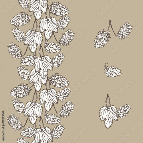 Beer Hops and Vertical Seamless Floral Border Vector Set. Common Hop or Humulus Lupulus Branch. Leaves and Cones