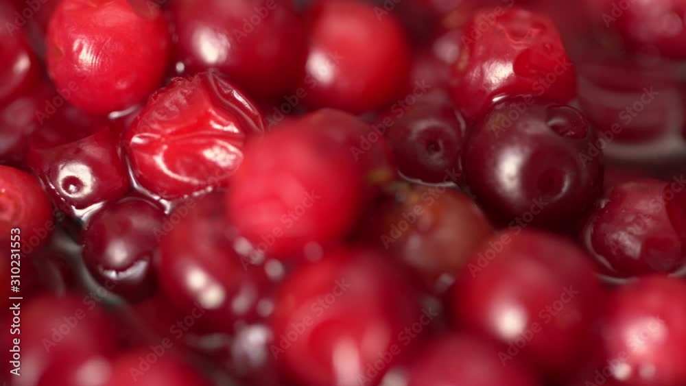 Cowberry, cranberry close up. product rich in minerals and vitamins. Cowberry turns in a shot. Cowberry, cranberry rotating. Macro Cowberry, cranberry close up. product rich in minerals and vitamins. Cowberry turns in a shot. Cowberry, cranberry rotating. Macro