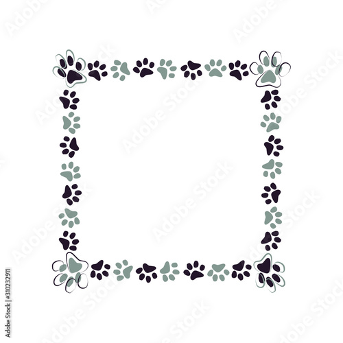 Cat paws isolated frame