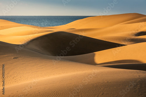 Maspalomas dunes in Gran Canaria in sunrise light.