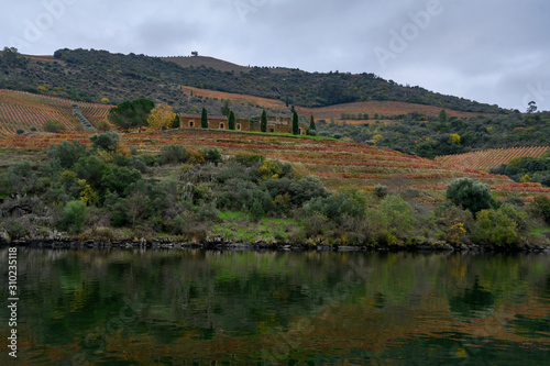 Scenic view of riverbank, Douro River, Douro Valley, Portugal
