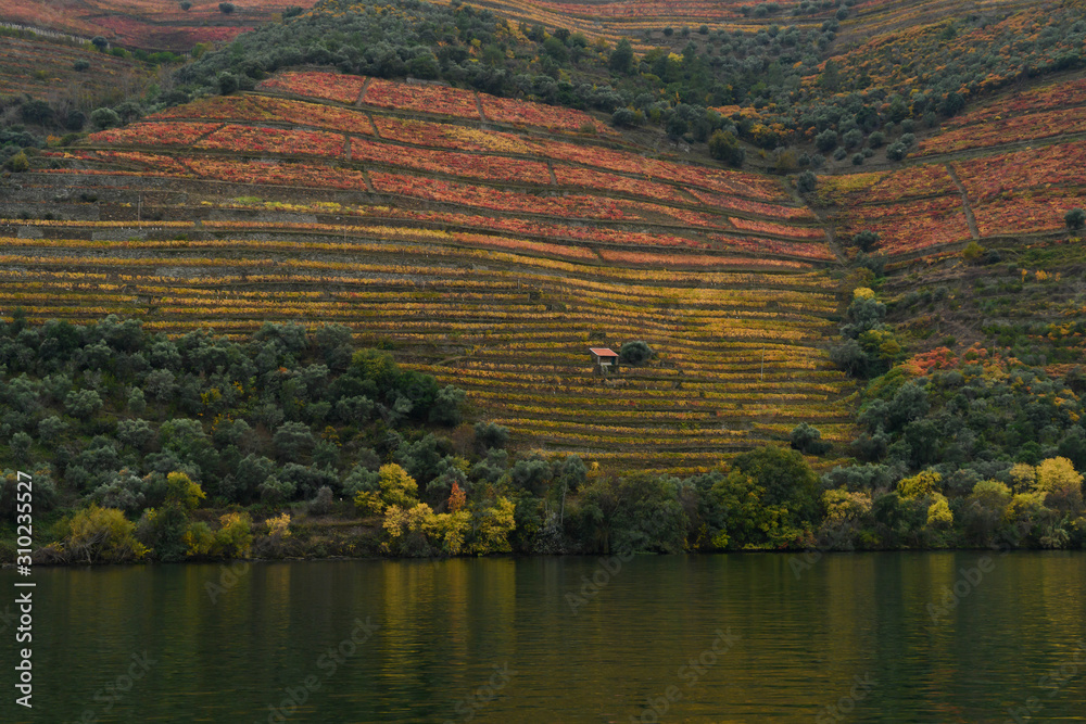 Naklejka premium Scenic view of riverbank, Douro River, Douro Valley, Portugal