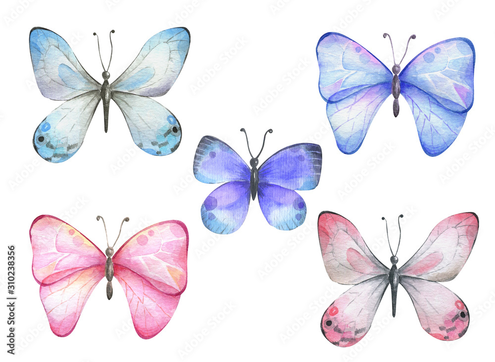 Fototapeta premium Set with blue pink watercolor butterflies.