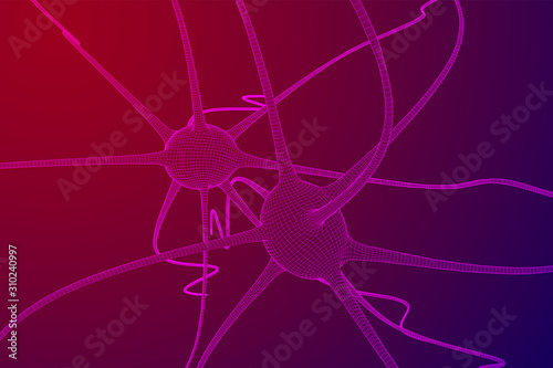 Neuron system wireframe mesh model. Low poly vector illustration. Science and medical healthcare concept