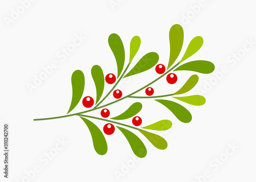 Mistletoe branch with red berries, Christmas plant symbol.