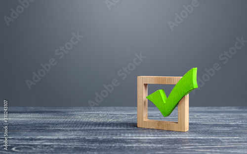 Green voting tick in a box. Checkbox. Democratic elections, referendum. The right to choose, change of power. Checklist for verification and self-discipline. Necessary quality criteria approval symbol