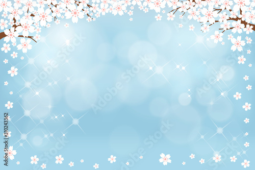 Vector summer nature background with cute white sakura on blue pastel background, Spring background with cherry blossom border and blurry bokeh light effectTemplate banner for Easter or Spring