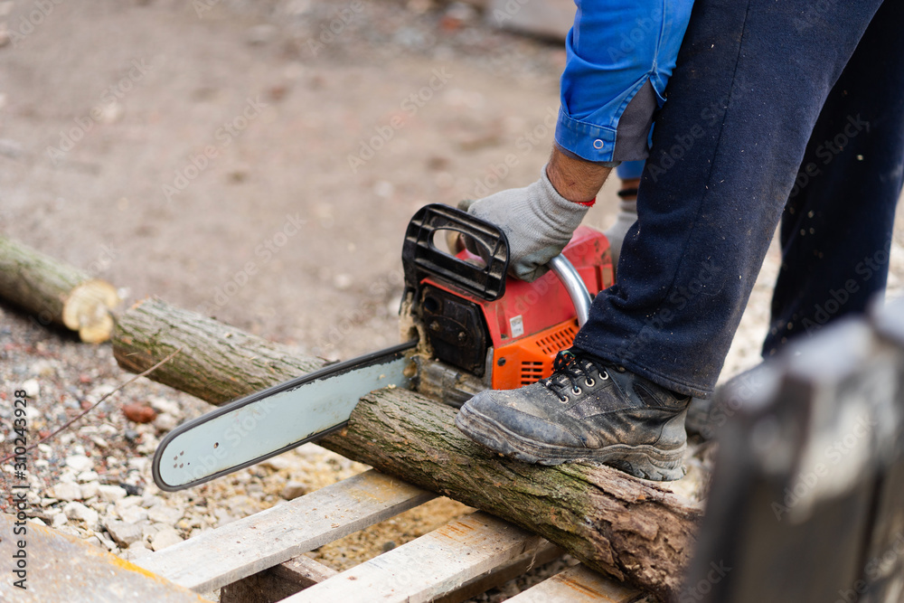 Midsection of man holding the chainsaw cutting wood timber trunk in autumn or winter day in the yard outdoor