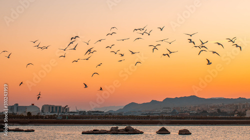 eilat sunset landscape with mountains 