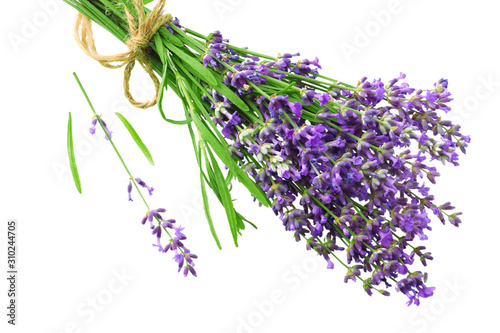 lavender flowers isolated on white background. bunch of lavender flowers.