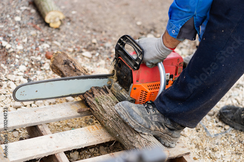 Wallpaper Mural Midsection of man holding the chainsaw cutting wood timber trunk in autumn or winter day in the yard outdoor Torontodigital.ca