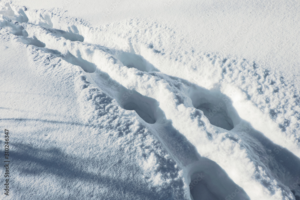 Human footprints in the deep snow.