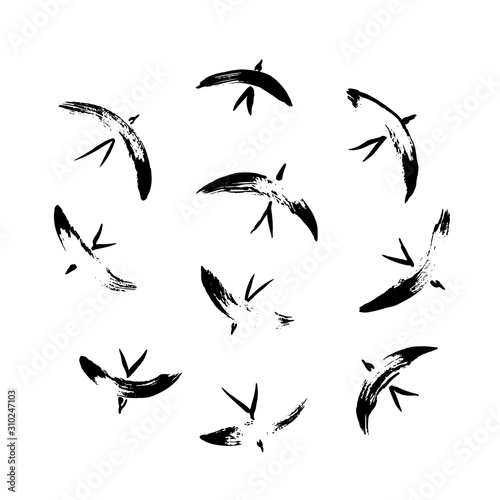 Hand drawn set with simple stylized flying wild birds. Vector animal illustration, graphic silhouettes painted by ink