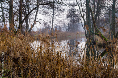 Rzeka Supra  l  Puszcza Knyszy  ska  Grudniowy ciep  y dzie    Ocieplenie klimatu