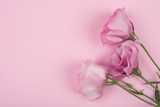 Beautiful pink lisianthus (eustoma) flowers on a pastel pink background, retro style (copy space on the left, top view)