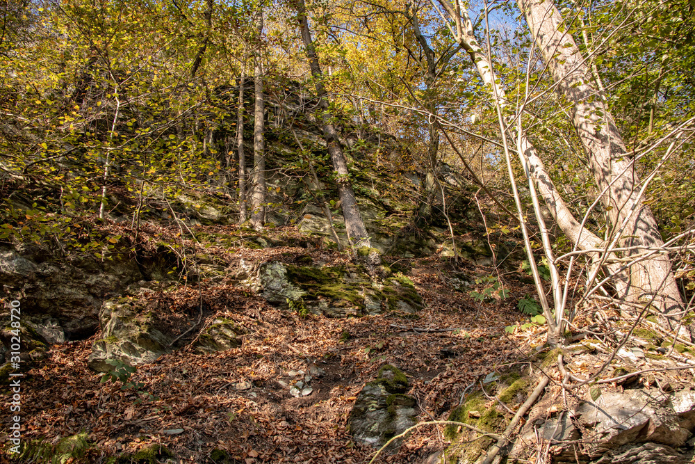 Romantic autumn landscape near the village Neumühle,Elster in Thuringia,Germany a beautiful hiking area with mountains and beautiful panoramas Romantic autumn landscape near the village Neumühle,Elster in Thuringia,Germany a beautiful hiking area with mountains and beautiful panoramas