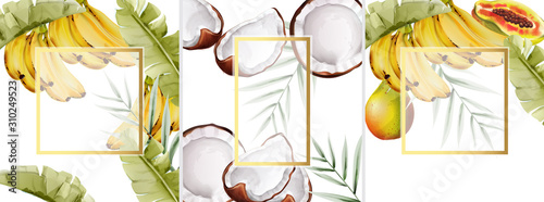 Big set of watercolor composition with bananas, papaya pear and coconut. Vector