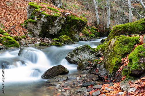 Photograph of the beech forest of Ciñera, Leon (Spain) known as Faedo, declared the best preserved forest in Spain in 2007. You can see the river that crosses the forest with a silk effect photo