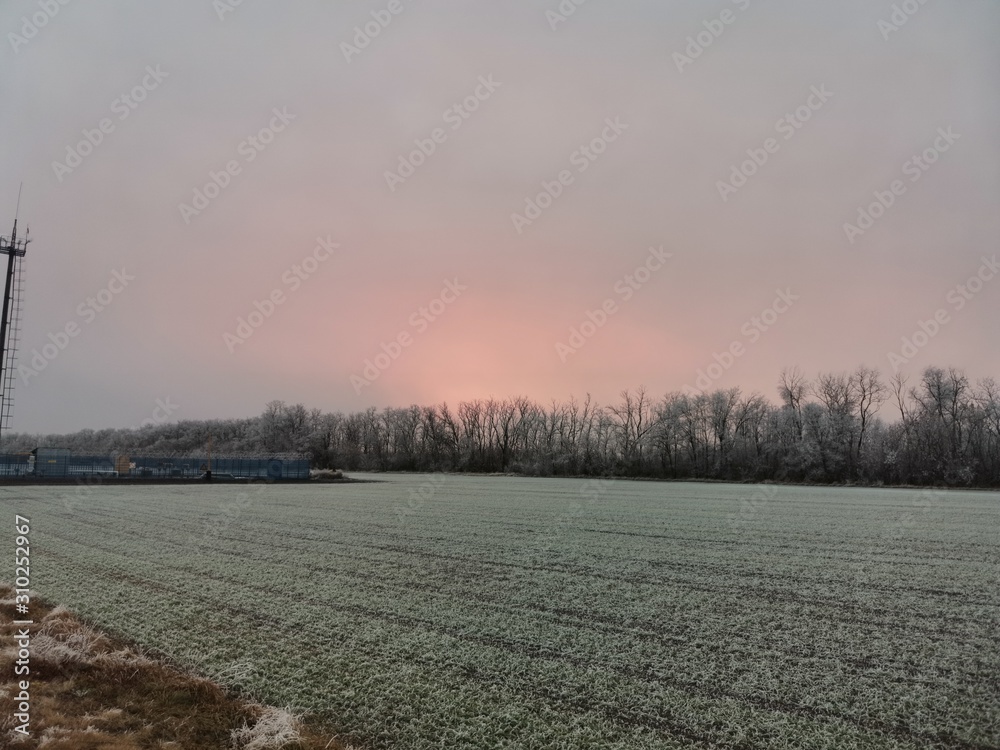 frosty dawn