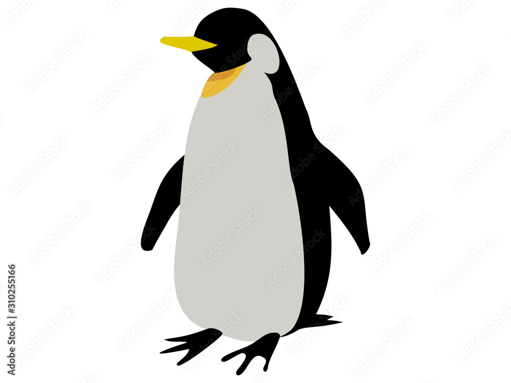 Fototapeta premium 皇帝ペンギン
