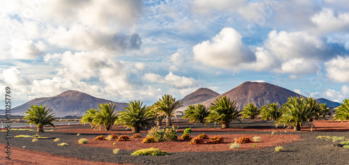 Landscape with volcanoes mountain in Timanfaya national park, Lanzarote, Spain photo