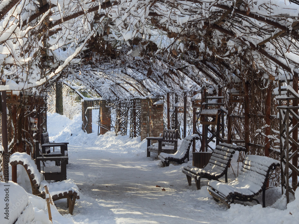 Gazebo in the winter. Benches under the snow.
