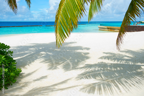 Fototapeta Naklejka Na Ścianę i Meble -  Fantastic peaceful view on innocent nature of paradise island with turquoise ocean,palms and sky