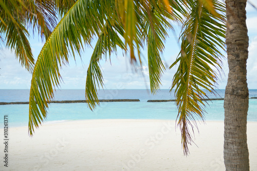 Fantastic peaceful view on innocent nature of paradise island with turquoise ocean,palms and sky