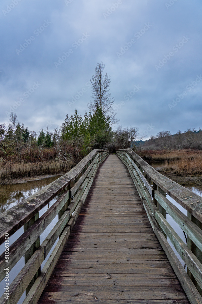 Naklejka premium Wooden Walkway Over Wetlands On A Winter Day